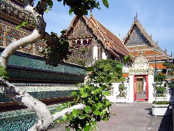 wat pho bangkok